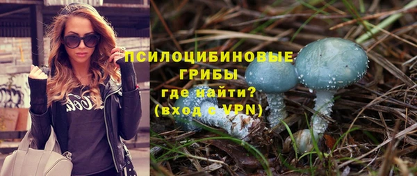 твердый Белокуриха