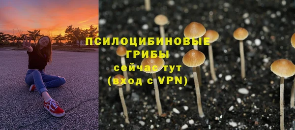 твердый Белокуриха