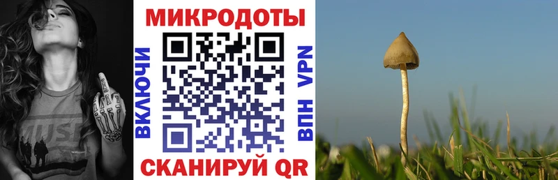 Псилоцибиновые грибы мухоморы  Купить где  Ахтубинск 