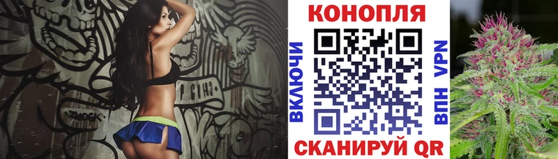 Купить где  Ахтубинск  МАРИХУАНА планчик 